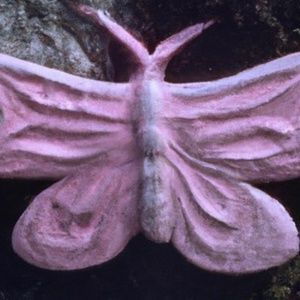 Meet your Posher, Mari